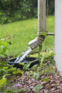 Step-by-Step Rainwater Harvesting Guide - Homelane