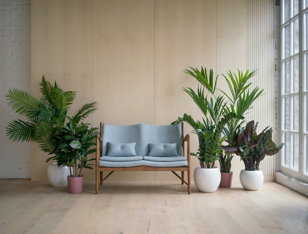 living room decoration with plants