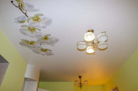 17 False Ceiling Wallpaper Ideas to Glam up Your Home